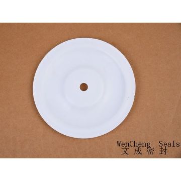 Corrosion Resistant Diaphragm Pump