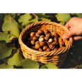 Vegan Nut Extract Hazelnut Extract