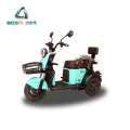 Adult Electric Tricycle Three wheelers