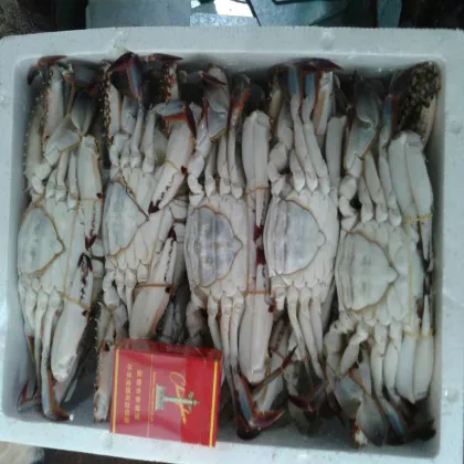 wholesale cut crab Fresh Frozen Crab BLUE CRAB Sales Price raw material block in stock