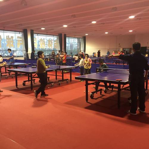 Lantai sukan EnlioPVC untuk tempat pingpong dalaman