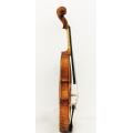 Selected European Wood Violin