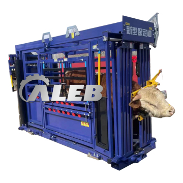 อุปกรณ์การจัดการม้าและวัวที่ขายดีที่สุด: BESTED BELES และ SOLUTIONS การจัดการ
