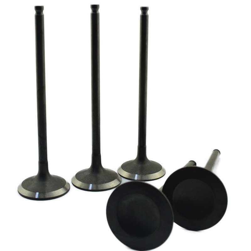 Car Engine Valve for Russia