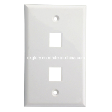2 Port 120 Type Long Faceplate