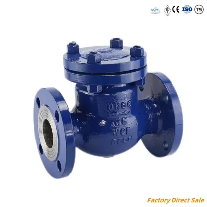 High Pressure Check Valve for Petrochemical Plants: Sizes 6inch PN150, PN300, PN600