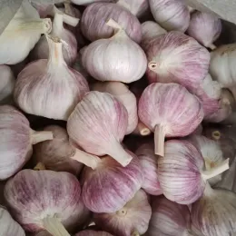Organic Garlic Cloves for Natural Use