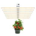 Hidropônico 800W LED Grow Light Samsung