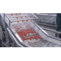 Ligne de lavage et de séchage à la fraise