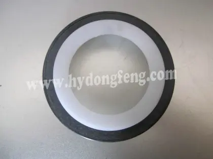 Cummins Oli seal C3921297