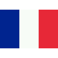 France Customs Declaration Shipper and Consignee