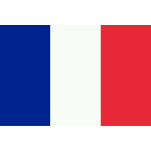 France Customs Declaration Shipper and Consignee