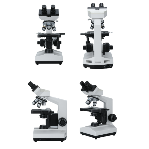Biological Microscope Binocular Laboratory Binocular Biological Microscope for Reserach Supplier