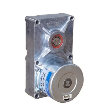 FengTech GF-BL60 BLDC Auger/Grill Motor with Gearbox