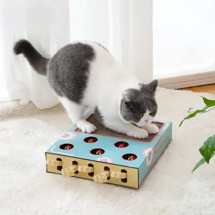 Five Hole Whack-A-Mole Cat Scratcher