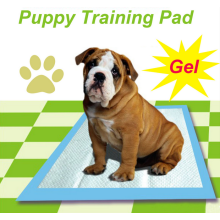 Venta al por mayor Pet PEE Training Pads