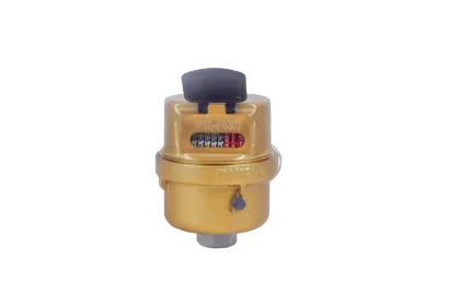 R160 CDWM Brand DN15 Volumetric Rotary Piston Water Meter