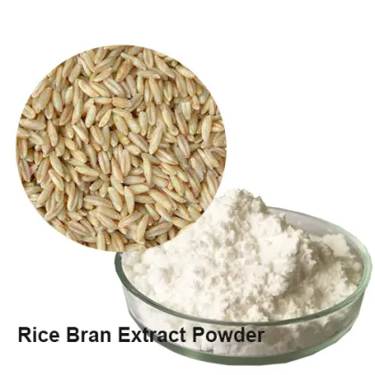 Organic or Natural Rice Bran Extract Powder