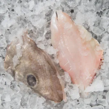 Zeus Faber skinon boneless John Dory Fish Fillets