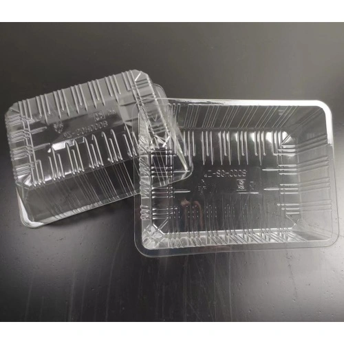 Transparent Plastic Food Packaging