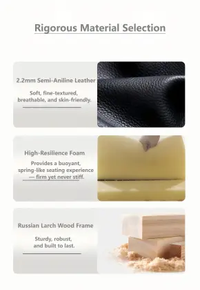 Iconic Leather Sofa with Timeless Design