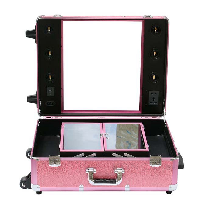 Cosmetic Case with Light
