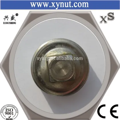 Pip Fittings, plumbing pipe, Square plug