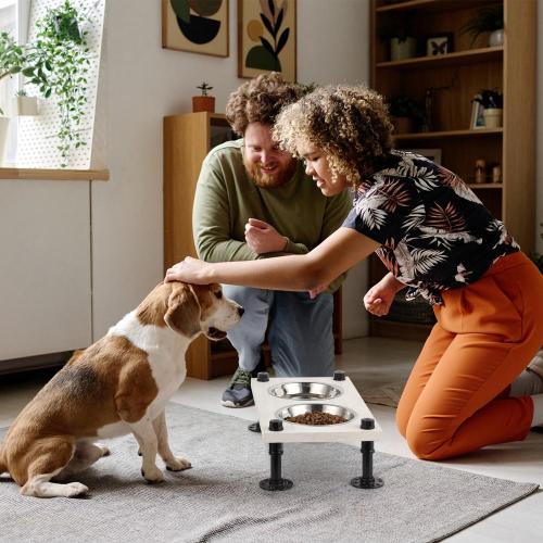 Elevated Dog Bowl Stand with Stainless Steel Bowls