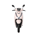 OEM 800W Electric Motorcycle CKD/SKD Zestawy | Podwójne hydrauliczne hamulce tarczowe