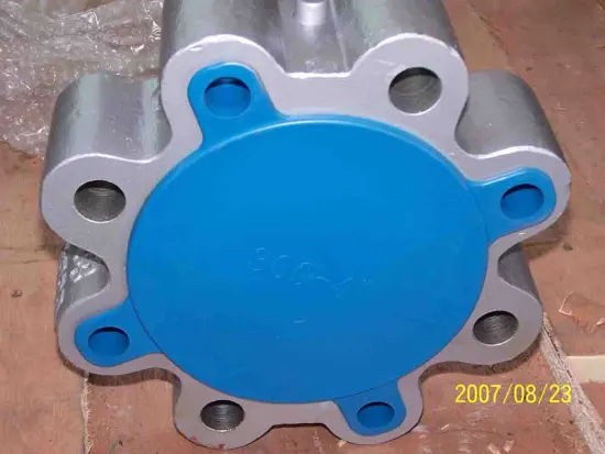 Lug type check valve