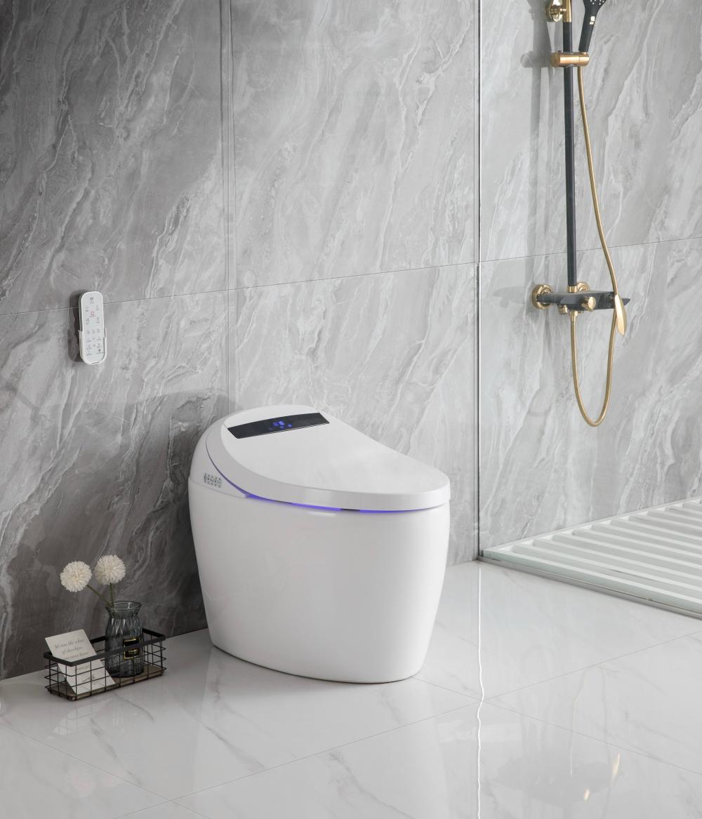 2206 18 Smart Toilet