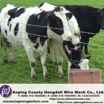 Kraal Network of high quality/Cow fence wire mesh for good price/kraal network grassland fencing/field fence