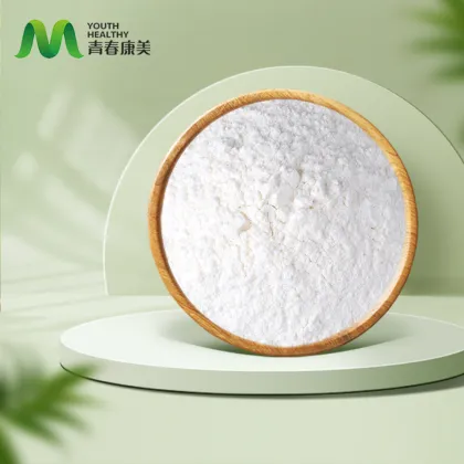 Premium Coconut Water Powder for Instant Hydration