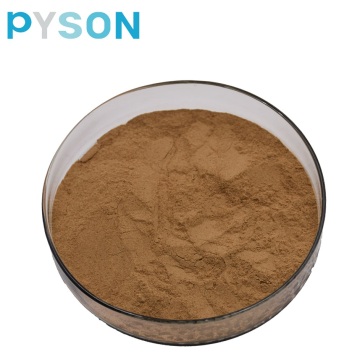 Echinacea Extract Powder 4% UV