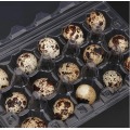 Einnota plast Quail egg bakki með 10 holur