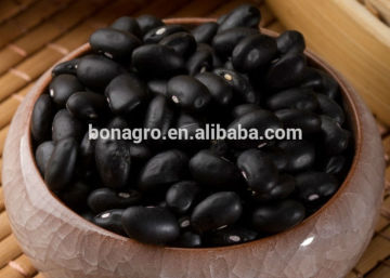 black bean manufactor