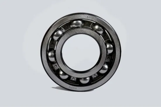 Deep groove ball bearings slide 6313