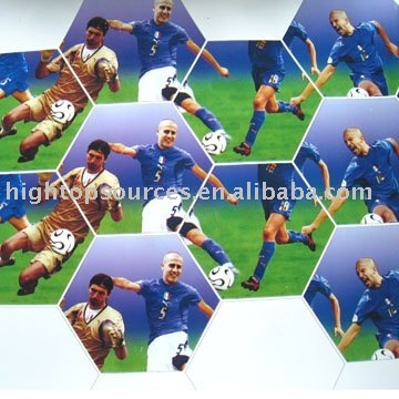 pvc shiny photo ball leather