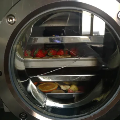 Customized Freeze Dryer for Candy and Fruit by BRAVO Manufacturer