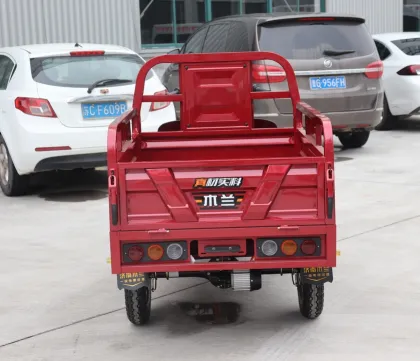 Powerful 1000w Electric Motorcycle