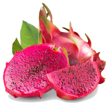Rasa memusatkan vape esensial buah naga e-liquid