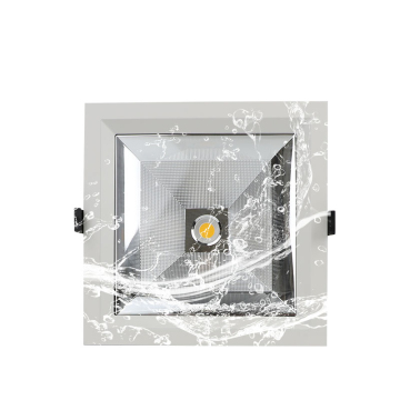 High CRI 8 Zoll 230 V 20W wasserdichte kommerzielle LED -Downlights für Hotels