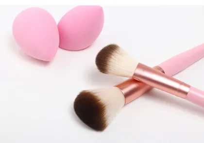 2 Piece Pink Makeup Beauty Blush Brush Kit