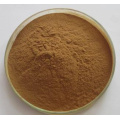 Fast shipped mint leaf extract powder/mint extract powder