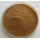 Fast shipped mint leaf extract powder/mint extract powder