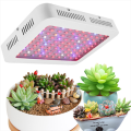 /msite/products/detail/productid/58038743/id/679434.html