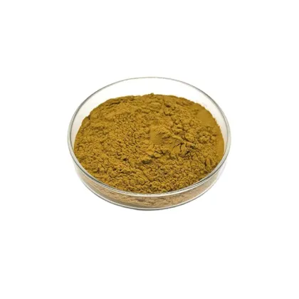 CNCSBIO bulk chaga mushroom extract powder