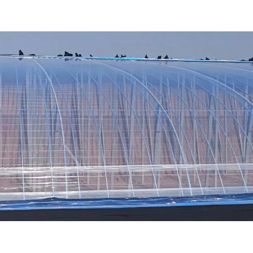 Greenhouse Plastic Film Sheet