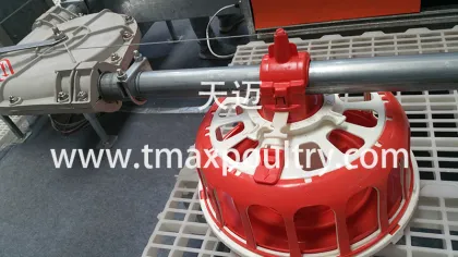 SHINE Poultry Feeder Systems