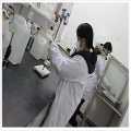 Injectable Peptides Peg-Mgf for Muscle Building